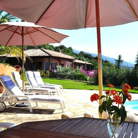 Villa Vetricella Corse Sud Olmeto  Εξωτερικό φωτογραφία