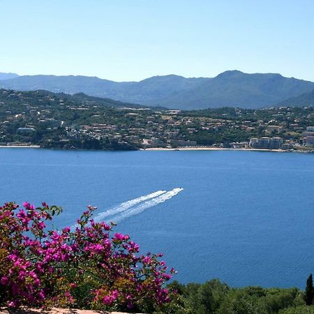 Villa Vetricella Corse Sud Olmeto  Εξωτερικό φωτογραφία