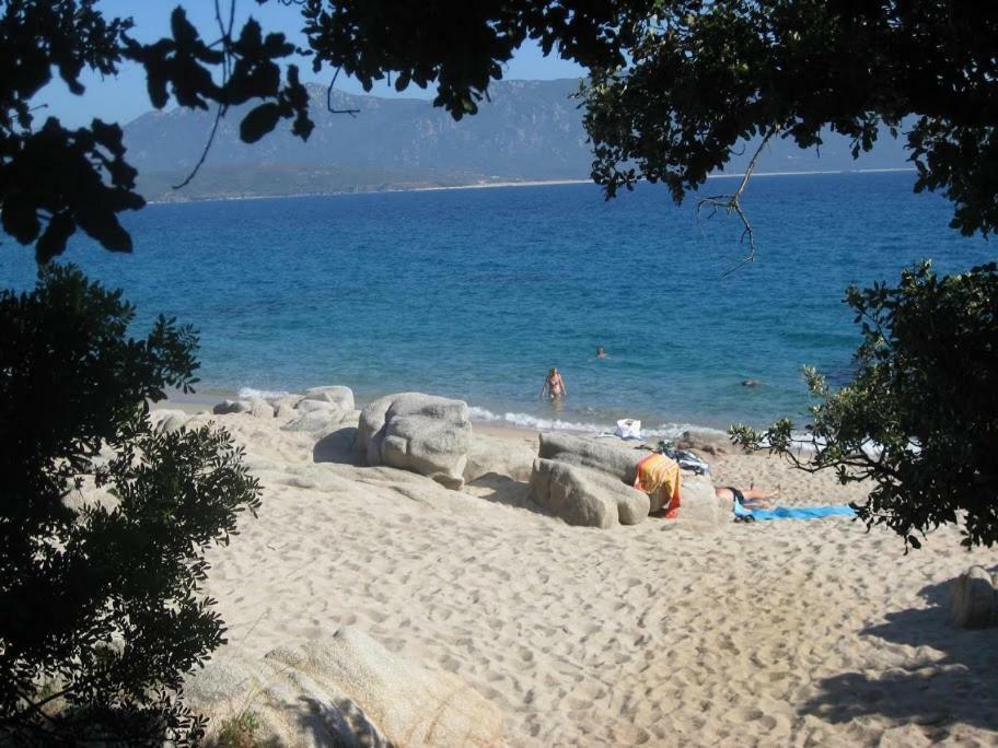 Villa Vetricella Corse Sud Olmeto  Εξωτερικό φωτογραφία