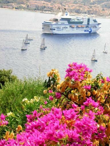 Villa Vetricella Corse Sud Olmeto  Εξωτερικό φωτογραφία