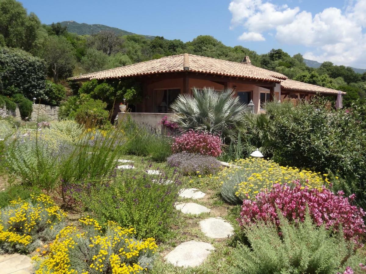 Villa Vetricella Corse Sud Olmeto  Εξωτερικό φωτογραφία