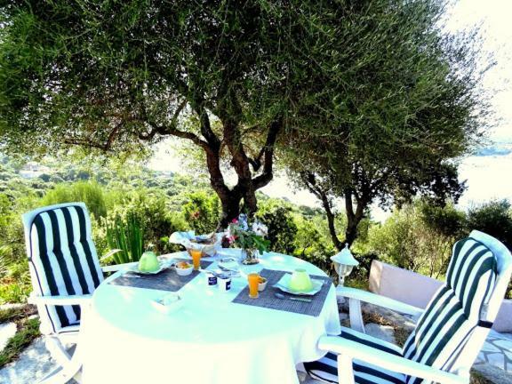Villa Vetricella Corse Sud Olmeto  Εξωτερικό φωτογραφία