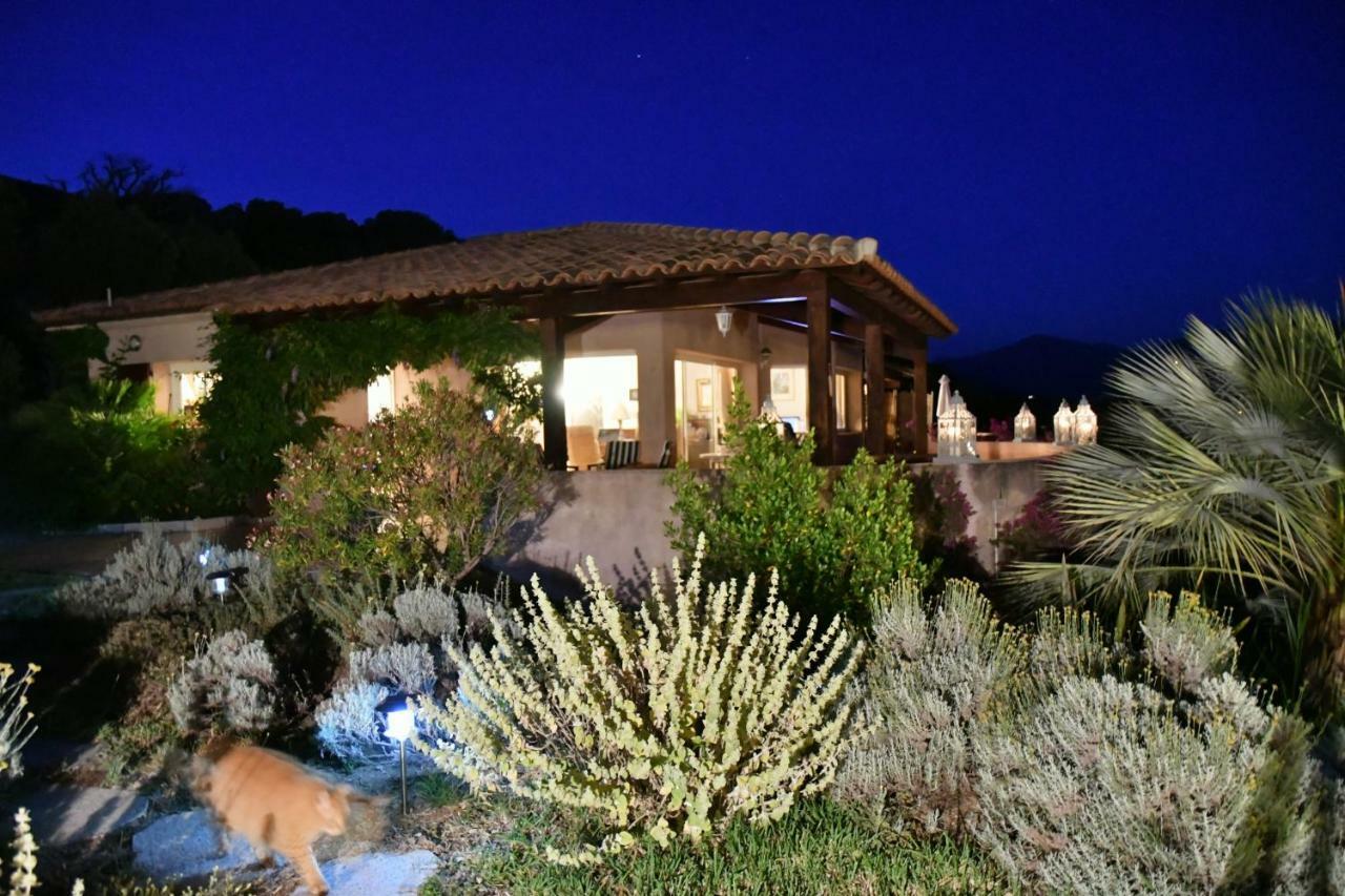 Villa Vetricella Corse Sud Olmeto  Εξωτερικό φωτογραφία